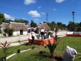 /album/fotogaleria-parques/img-20151203-111723-jpg/