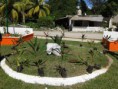 /album/fotogaleria-parques/a20151203-111155-jpg/